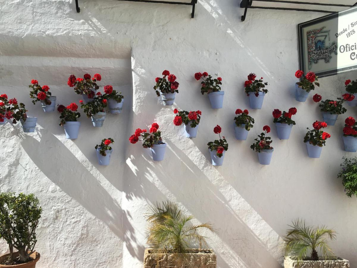Erisa Ib Carihuela - Torremolinos Lägenhet Exteriör bild
